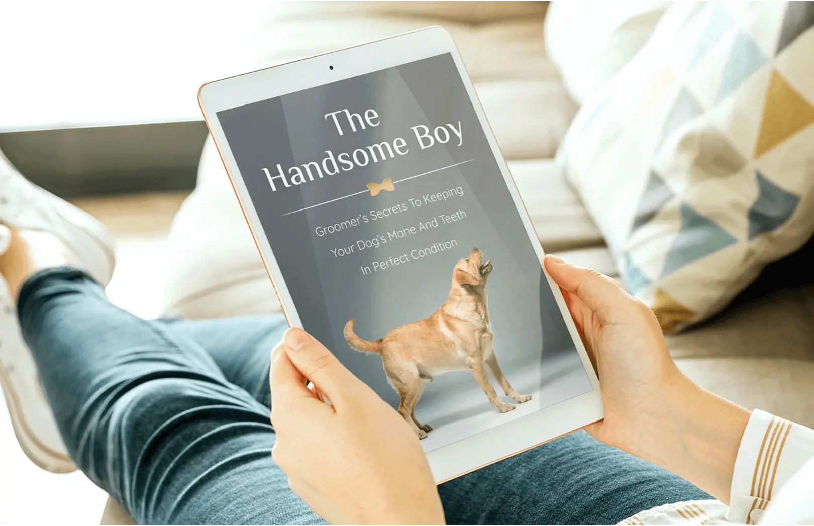 Dog Grooming Secrets Guide